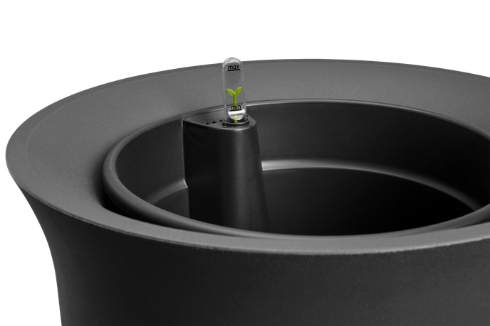 june tulip 40cm noir